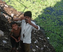 �J�W�����z