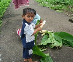 �I�[�����K�o�[�h