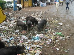 �W�������V�[