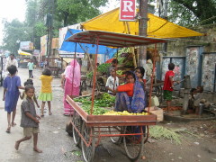 �I�[�����K�o�[�h