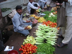 �I�[�����K�o�[�h